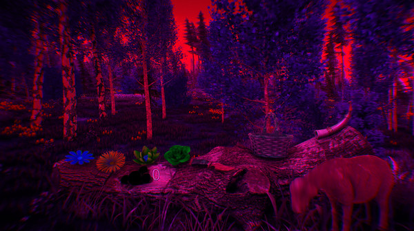 Flower Challenge screenshot 8