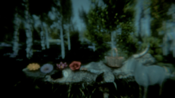 Flower Challenge screenshot 4