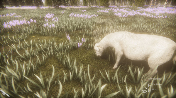 Flower Challenge screenshot 6