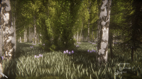 Flower Challenge screenshot 7