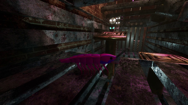 S H R i M P screenshot 9