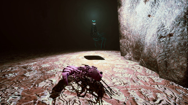 S H R i M P screenshot 8