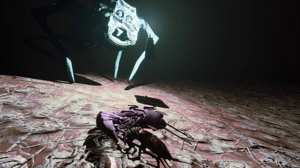 S H R i M P screenshot 3