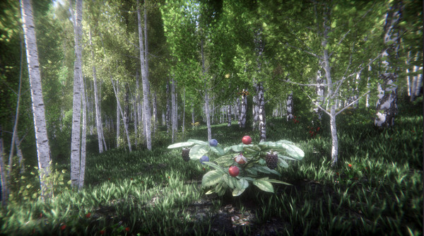 Berries Challenge screenshot 2
