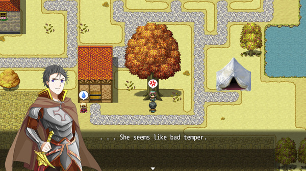 Legend of Xion: Royal Story 赛恩传说：皇家物语 screenshot 3
