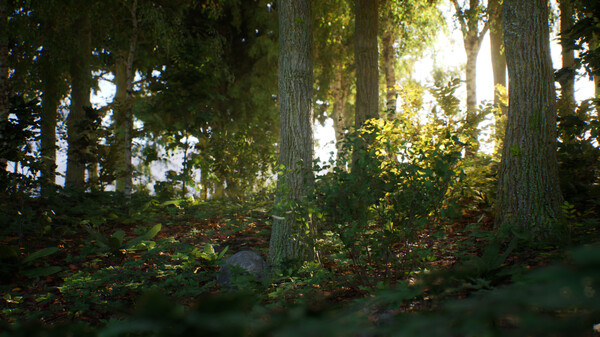 Stone Simulator – Just Be a Rock screenshot 11