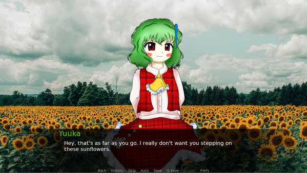 CBT With Yuuka Kazami screenshot 0