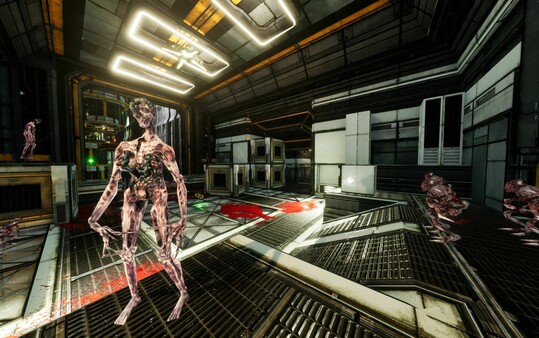 Anomalous screenshot 4