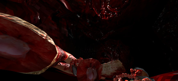 Invasion Vill screenshot 5