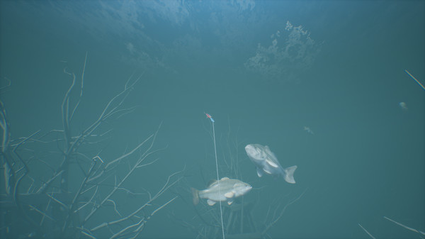 Bassmaster Fishing screenshot 8