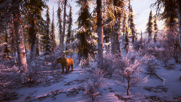 Snow Survival screenshot 11