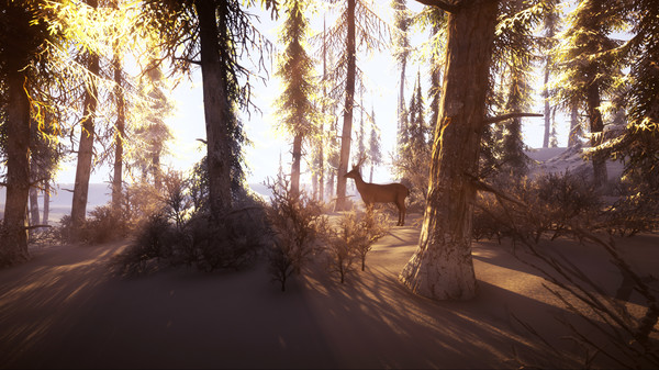 Snow Survival screenshot 4
