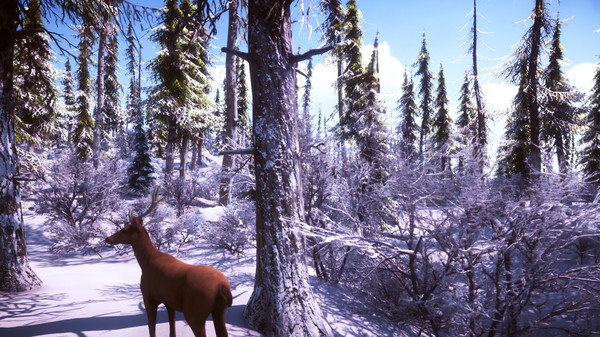 Snow Survival screenshot 10