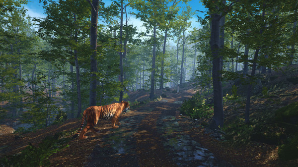 Big Cat Rescue VR screenshot 1