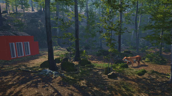 Big Cat Rescue VR screenshot 3