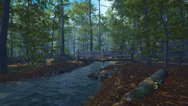 Big Cat Rescue VR screenshot 5