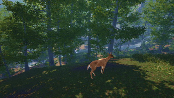 Big Cat Rescue VR screenshot 4