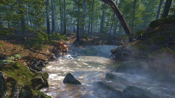 Big Cat Rescue VR screenshot 2