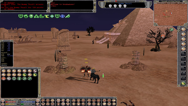 Shadowbane screenshot 3