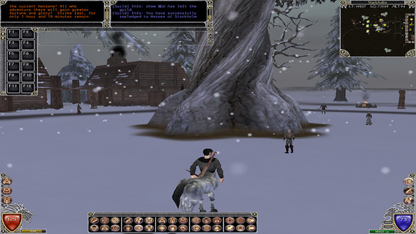 Shadowbane screenshot 4
