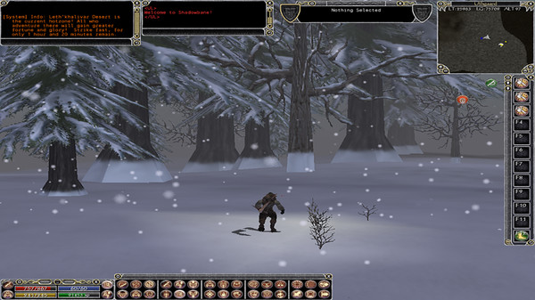 Shadowbane screenshot 1