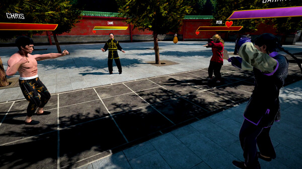 Dragon Fist: VR Kung Fu screenshot 3