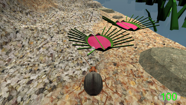 Insect: Bombardier beetle screenshot 3