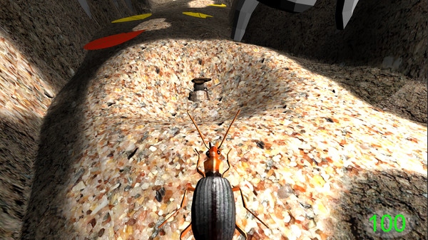 Insect: Bombardier beetle screenshot 4
