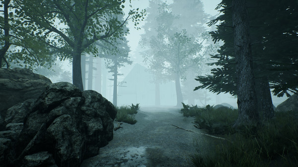 The Picture in The House screenshot 5