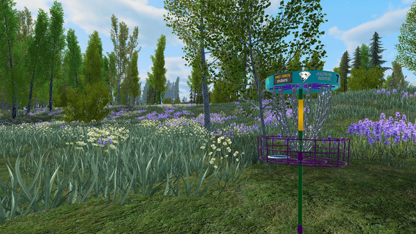 Disc Golf Adventure 2 VR screenshot 2