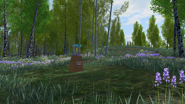 Disc Golf Adventure 2 VR screenshot 6