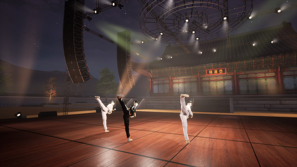 Taekwondo Demonstration Team Simulator screenshot 9