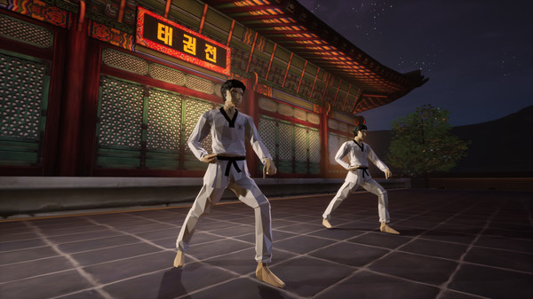 Taekwondo Demonstration Team Simulator screenshot 5