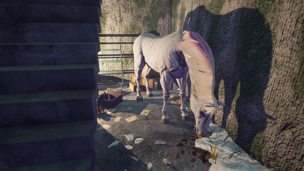 Lucid Cycle screenshot 9