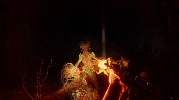 Unknown Woods screenshot 8