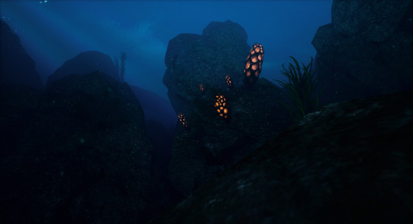 ChillaxVR screenshot 3