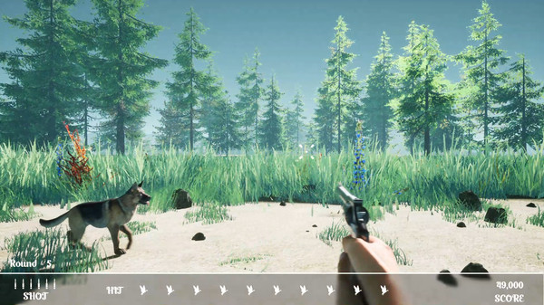 Duck Flight Simulator 2021 screenshot 3