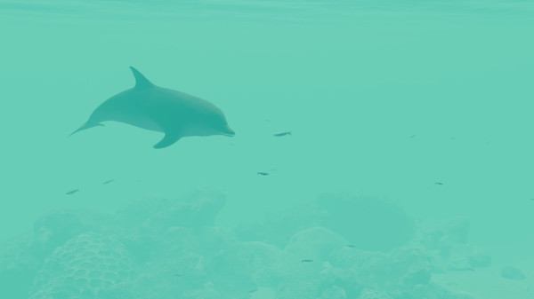 Nature Treks: Together screenshot 7