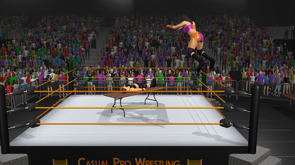Casual Pro Wrestling screenshot 2
