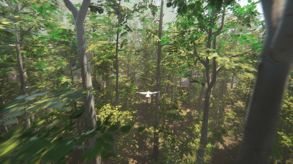 Bird screenshot 2