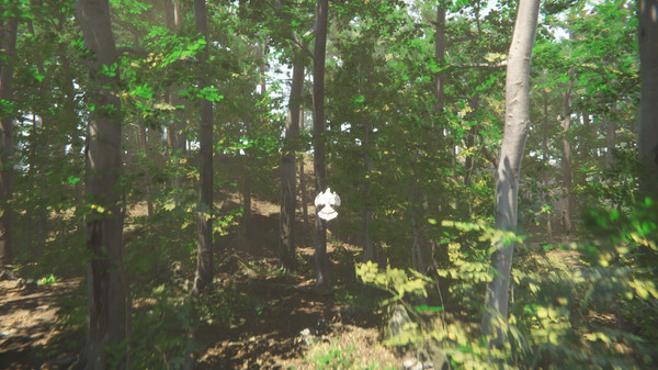 Bird screenshot 5
