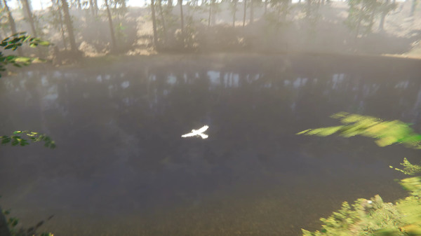 Bird screenshot 4
