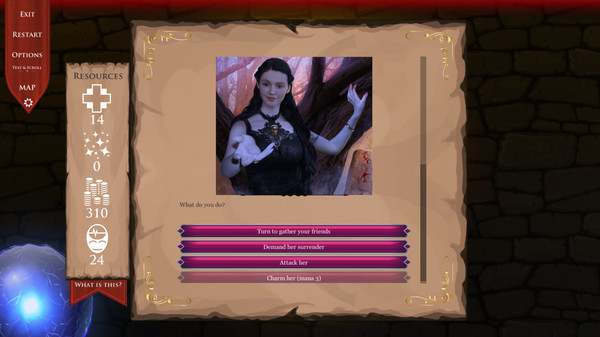 DnD Adventure: Wizard's Choice screenshot 1