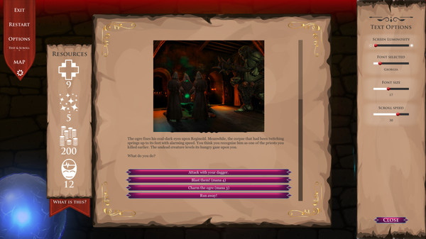 DnD Adventure: Wizard's Choice screenshot 2