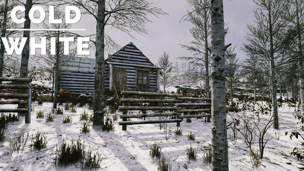 The Cold White screenshot 8