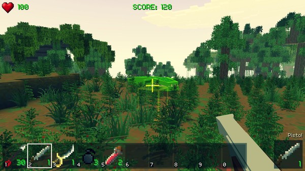 PIRATECRAFT screenshot 10