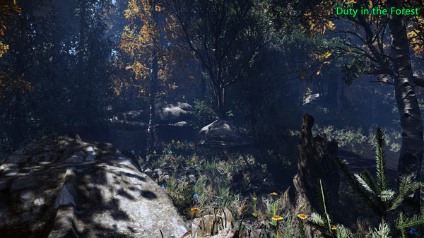 Duty in the Forest screenshot 5