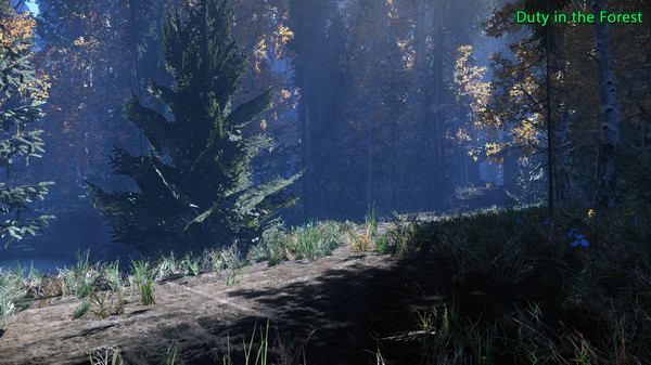 Duty in the Forest screenshot 6