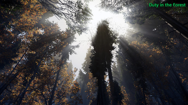 Duty in the Forest screenshot 10