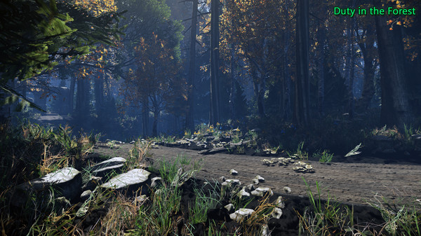 Duty in the Forest screenshot 8